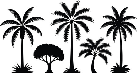 Obraz premium Black silhouette palm trees and bush set isolated on white background