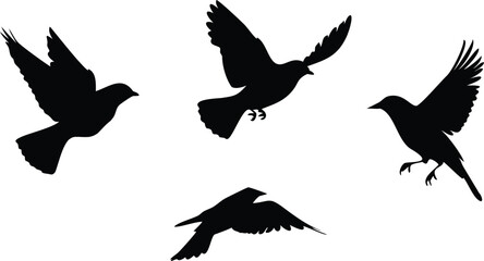 Obraz premium Printbird silhouettes, dark flying birds, minimalist birds in flight, black and white bird illustrations, simple avian shapes, dynamic bird motif, abstract bird icons, graphic bird symbols, elegant