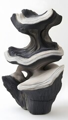 Abstract sculpted form in layered black and white.