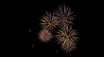 Fototapeta premium Golden Fireworks Night Spectacle