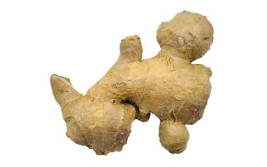 Top view of a fresh ginger root with natural knobby texture and earthy brown skin, isolated on a white background.