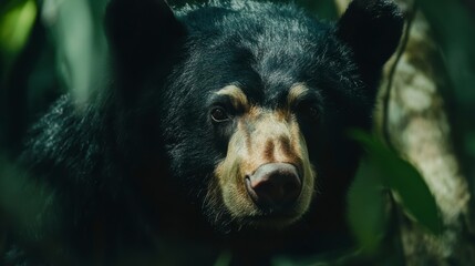 Close-up portrait of a black bear in lush green foliage.