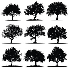 Fototapeta premium apple tree silhouette set, Black & White silhouette set