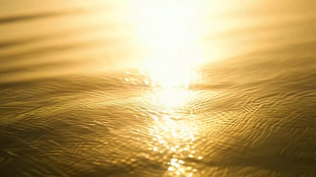 Sunbeams strike protective glass bounce refract radiant flares that pause mid glint before fading producing versatile K loop where realistic glare effects add elevated polish to smartphone ads