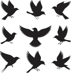 Obraz premium Nine Black Bird Silhouettes Flying Various Directions