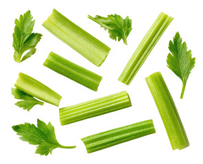 Fresh Celery Stalks and Leaves Overhead Arrangement on Transparent Background