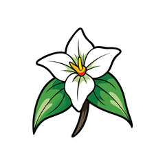Trillium Tranquil Flower Illustration