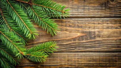 A spruce branch with needles and twigs placed on a wooden background, showcasing the natural texture and color of the wood, rustic, leafy greens
