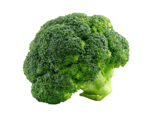 Fresh Green Broccoli Head Isolated on Transparent Background fresh green broccoli head
