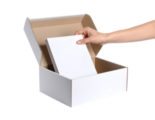 Hand Placing Catalog into White Mailer Box on Transparent Background