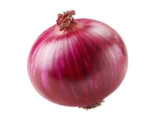 Single fresh red onion close up on transparent background