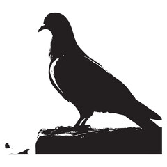 pigeon silhouette vector