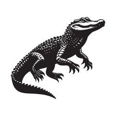 lizard on white background