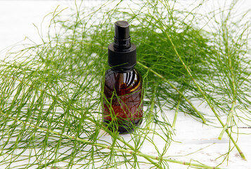 Natural herbal remedy called Equisetum arvense the field horsetail or common horsetail tincture in brown glass bottle. Plant branches scattered around, white wood background.