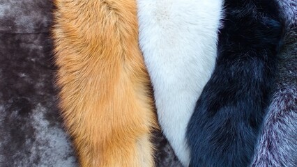Different animal furs. Fur background.
