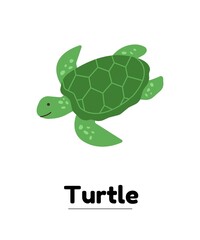 turtle vector illustration Flash card 