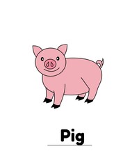 cartoon pig with a white background flash card 