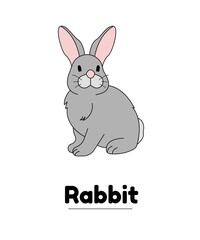 Rabbit vector illustration Flash card 