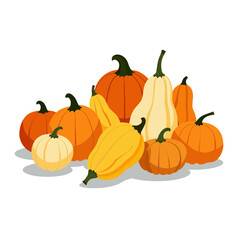 Assorted pumpkins in various shapes and sizes on a white background  