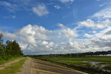 Serene landscape with calm water reflecting green trees under a bright blue sky with fluffy clouds.