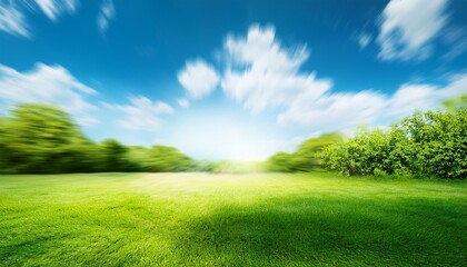Obraz premium an abstract blurred background of a summer blue sky with lush green foilage of trees bushes and grass