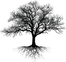 Ancient Tree Silhouette with Exposed Roots – Dramatic Vector Illustration in Black