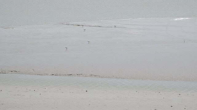 Vue sur des bancs de sable en baie de Somme &agrave; Le Crotoy