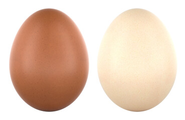 Brown and white chicken eggs front view. 3D rendering isolated on transparent background