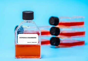 Hypoxia Chambers Creating low-oxygen conditions for