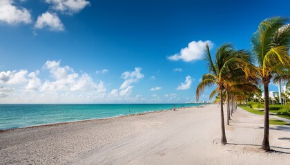 palm trees on a beautiful sunny summer afternoon in miami beach florida with ocean and blue sky in the background