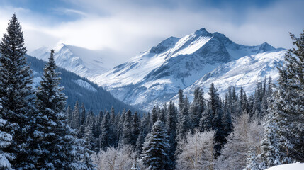 Mountain view above clouds flowers and blooming bushes at sunset sunbeams. Calm close-up beautiful landscape, screensaver background, Beautiful panorama. Summer vacation, holiday, amazing nature.