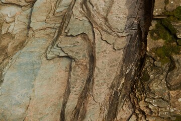 Close-up of textured rock face with layered, striated patterns in various shades of brown, gray,...