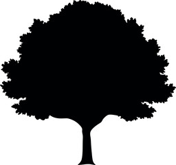 Black Silhouette of a Tree