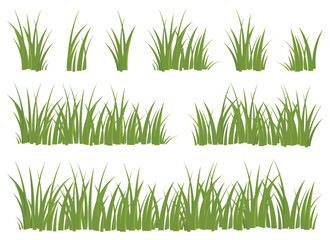 This is a digital illustration of various green grass tufts set against a plain white background, suitable for botanical art or design use in landscapes and fields. 