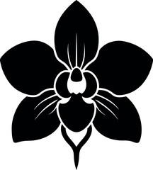 Black Orchid Flower Silhouette