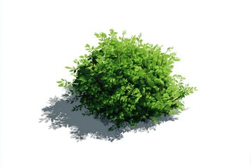 Isometric lush green shrub design on bright backdrop with shadow for nature-focused branding and eco-conscious projects