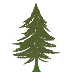Forest Tree Illustration