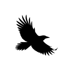 minimal bird in flight vector with spread wings icon eagle silhouette vector