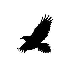 flying bird black silhouette on pure white background eagle silhouette vector