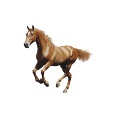 Obraz premium Brown horse running in motion isolated on white background