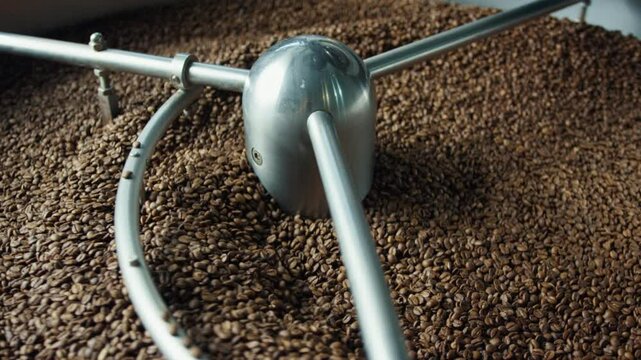 Professional coffee roasting machinery rotating and mixing freshly roasted brown beans during industrial production process in metal equipment