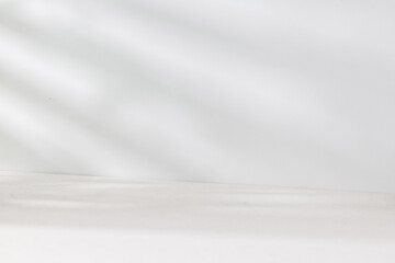 A serene light gray room with soft window shadows cast across the wall—perfect for displaying...