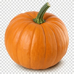 pumpkin isolated on white