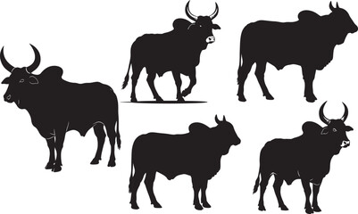 Brahman bull silhouette vector illustration