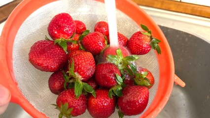 Strawberries being washed in a sieve under running water. Clean and fresh preparation scene