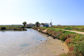 scenic landscape in Bay of Cadiz (Bahia de Cadiz) Natural Park, Andalucia, Spain
