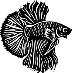 betta fish vector illustration, isolated on white