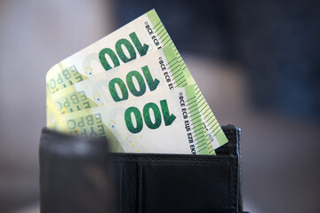 Money, banknotes in wallet, euros.
