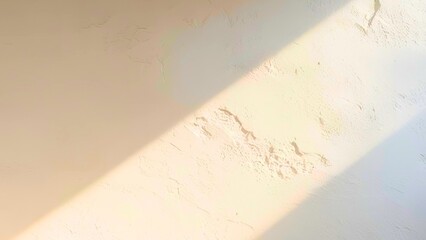 Crisp white wall with natural daylight, creating a neutral and balanced tone for minimalist aesthetics.