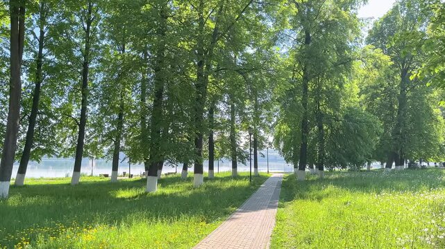 The museum-estate of the composer P.I.Tchaikovsky on fine summer day. Beautiful green linden park in front of the estate